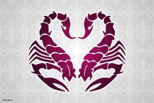 Scorpio Love Compatibility